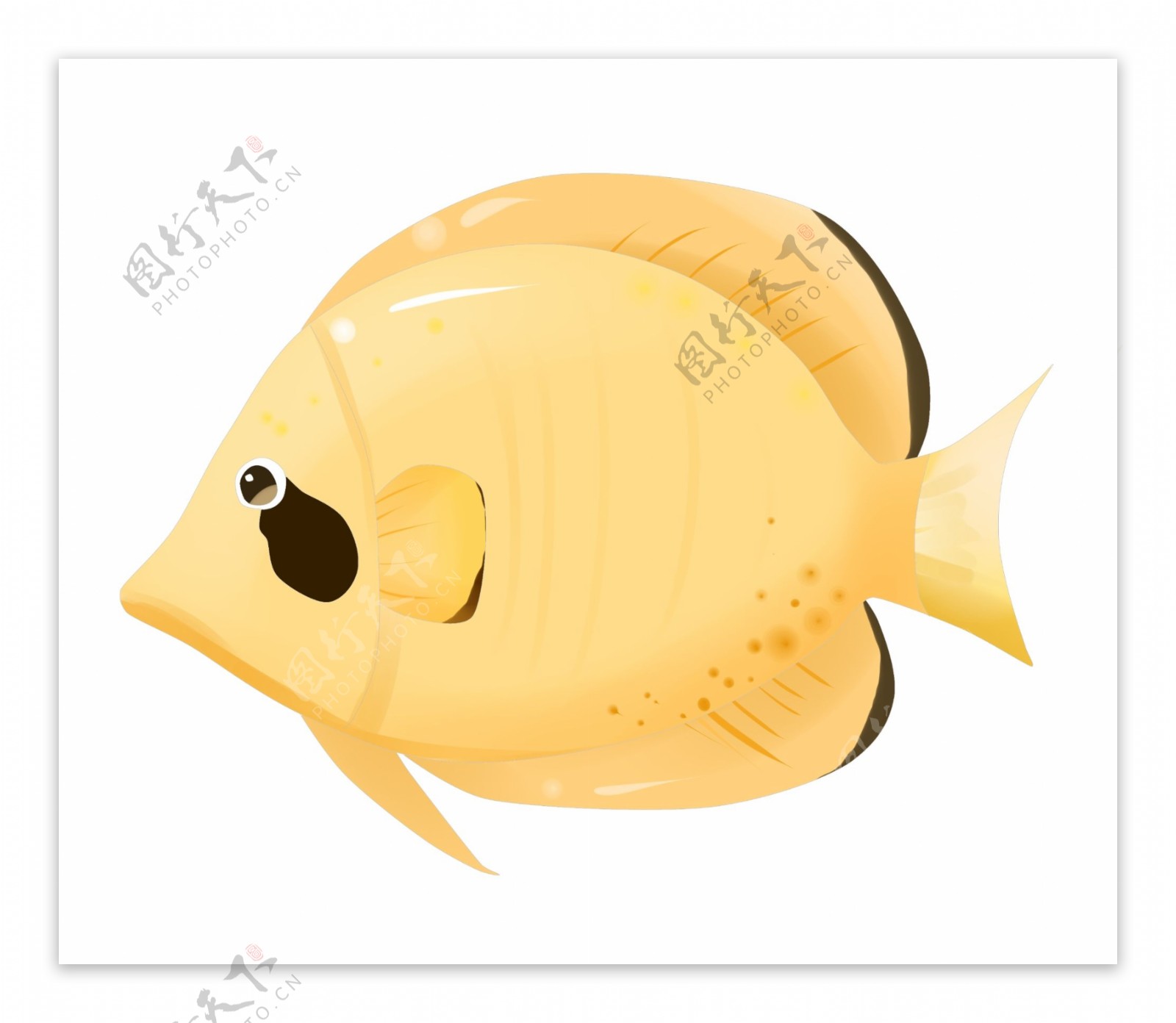 黄色热带鱼图案