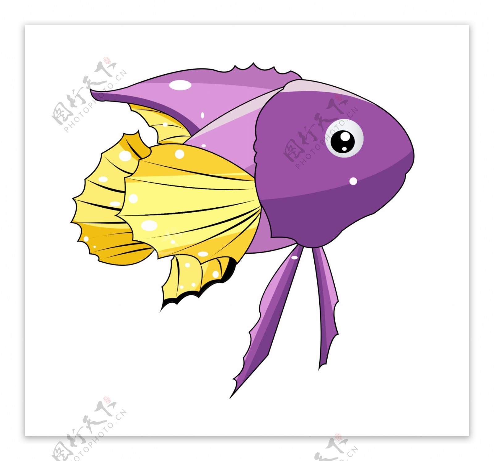 紫色水生鱼类