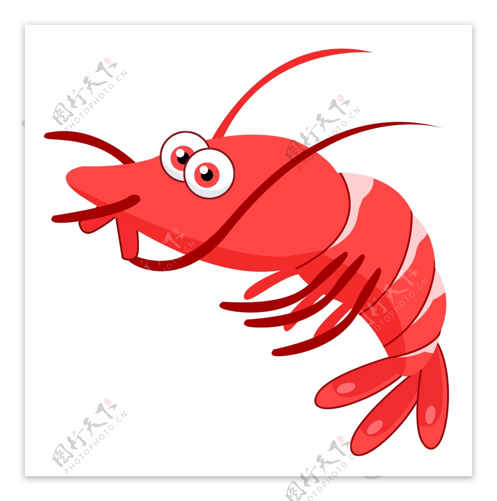 红色弯曲小龙虾
