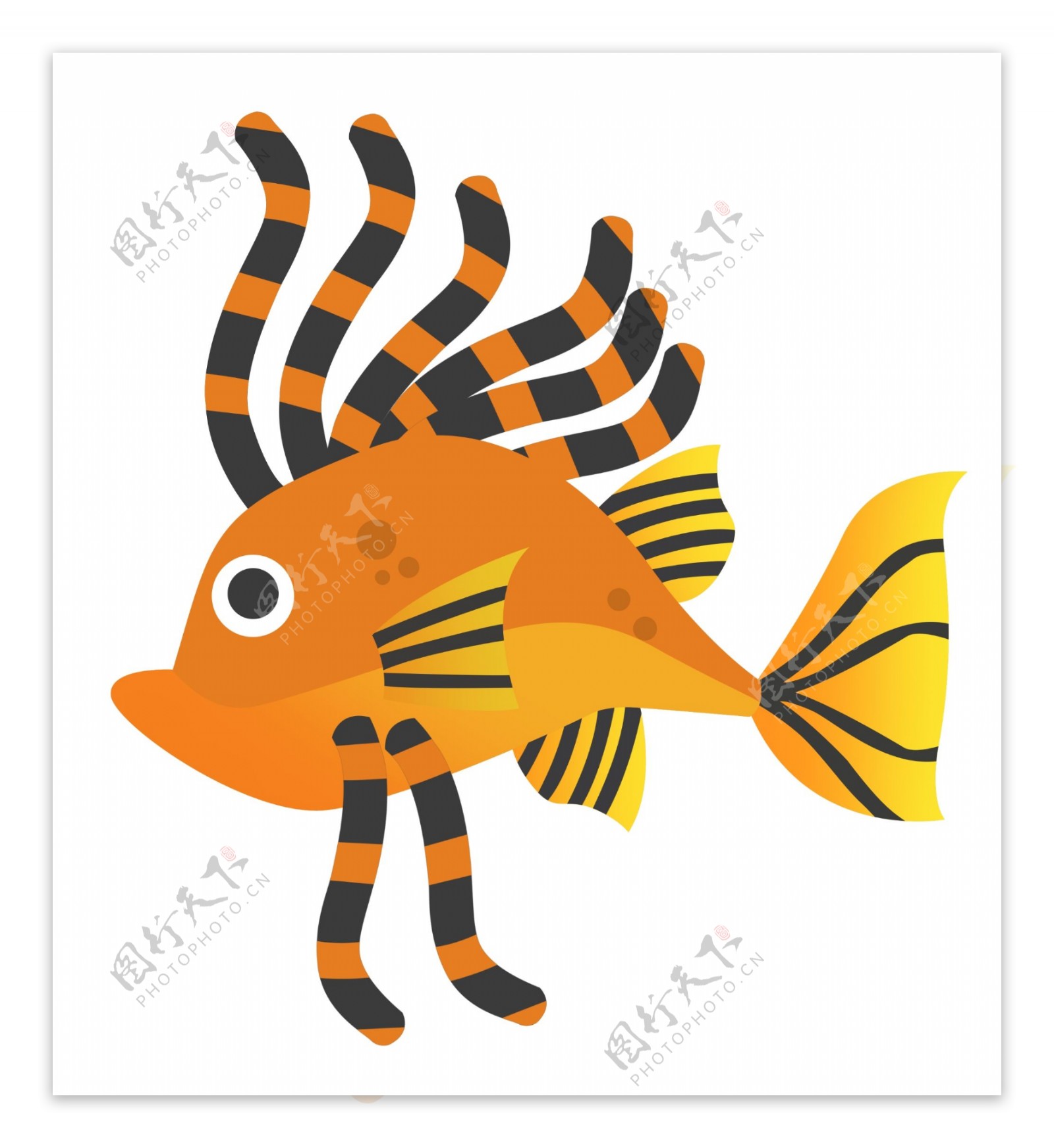 黄色海洋生物鱼