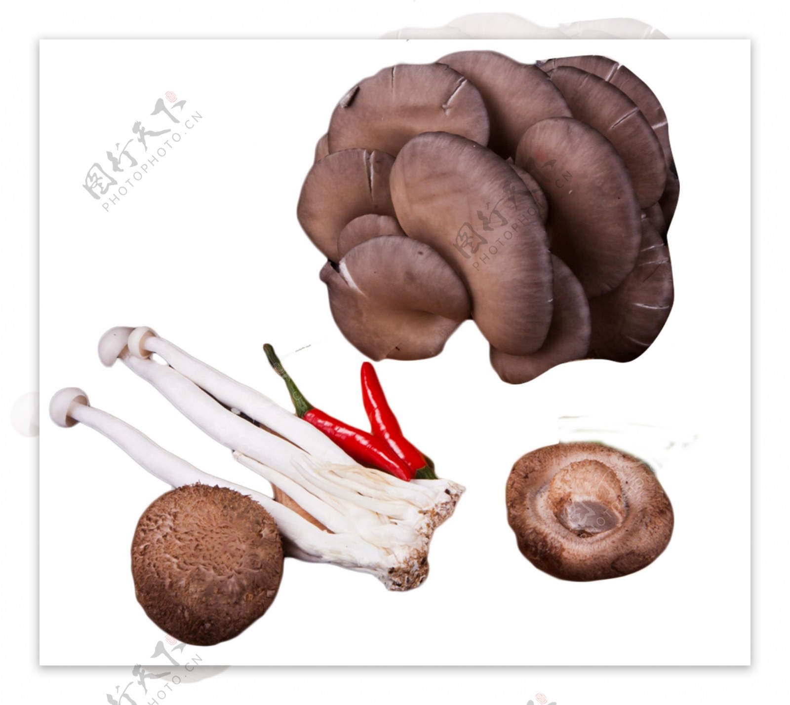 香菇金针菇小米椒平菇
