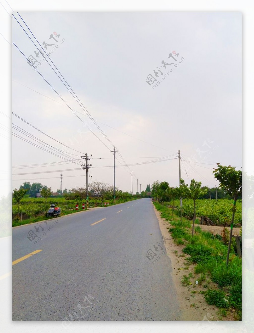 乡村道路美景