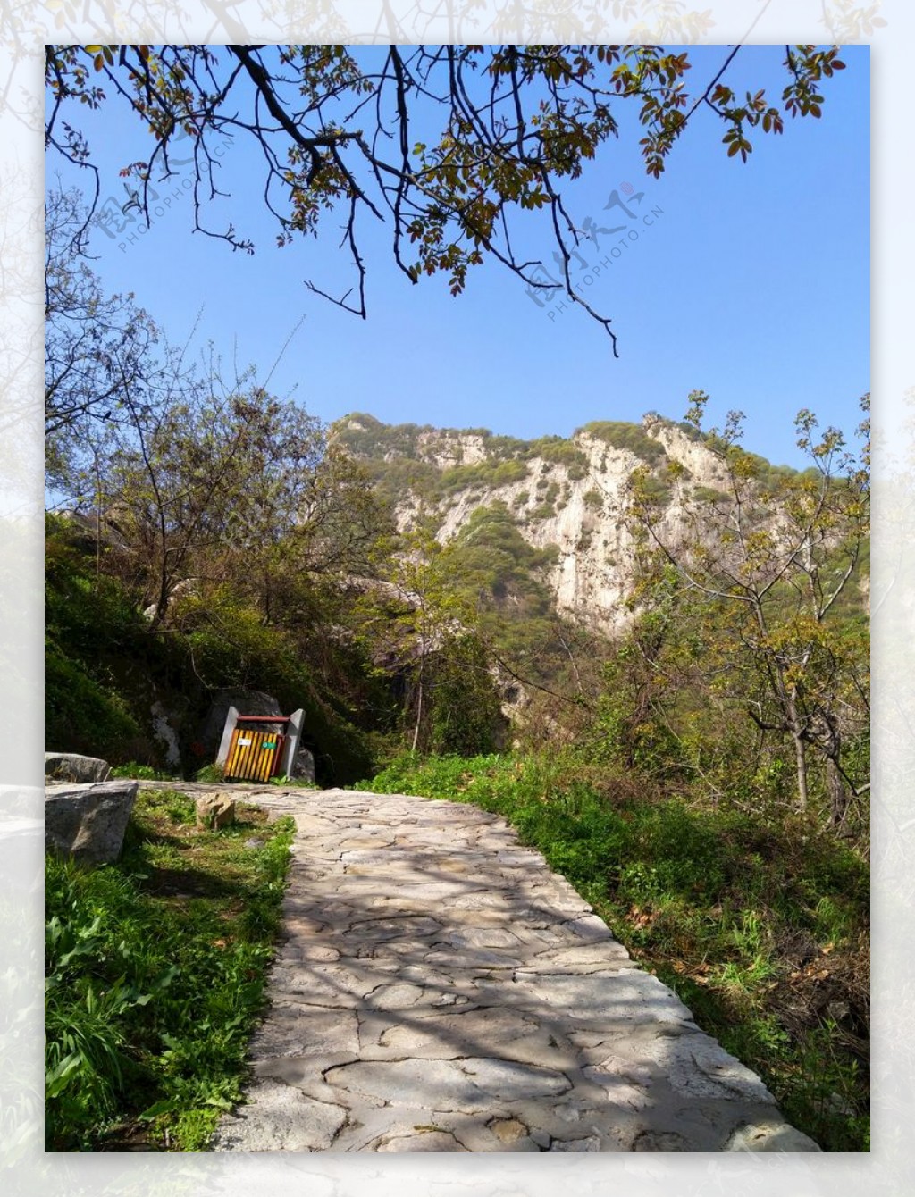 大山美景