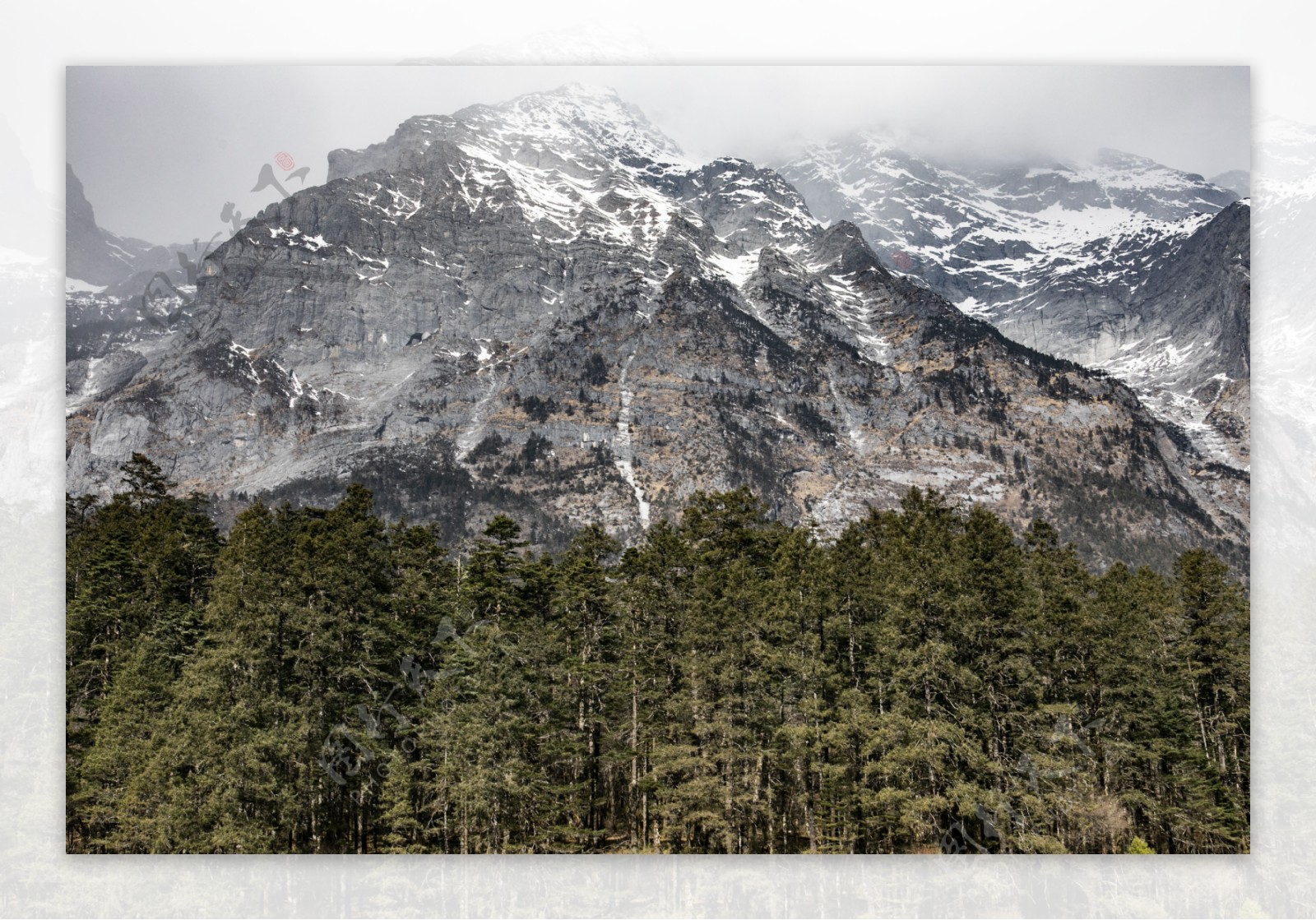 自然风景云雾雪峰森林5