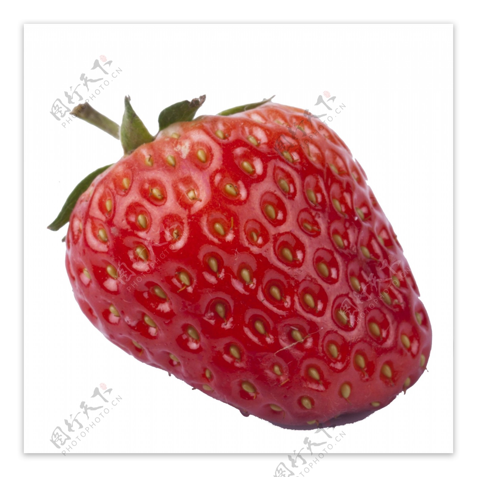 一颗新鲜的奶油草莓免扣图