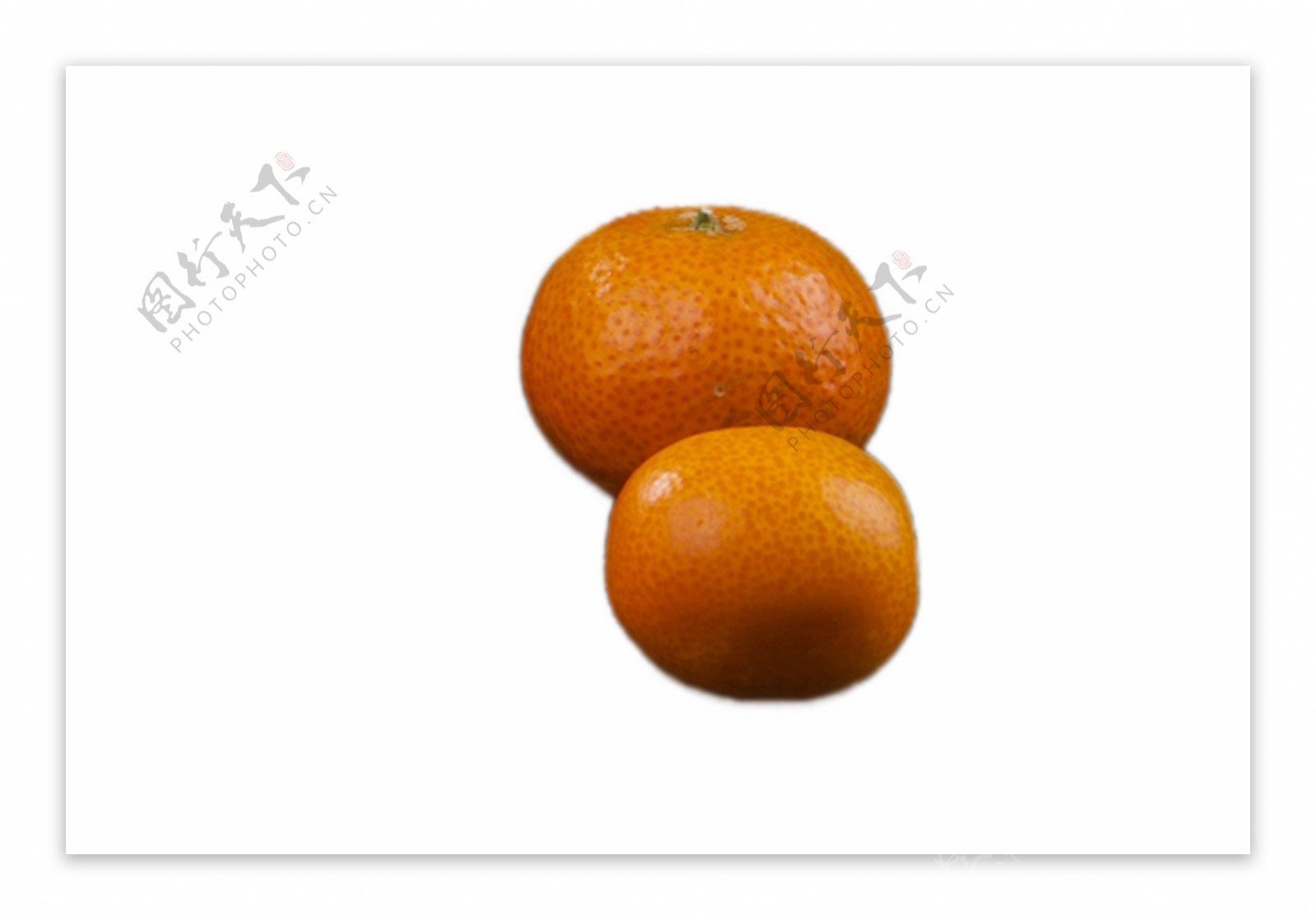 两个甘甜的大橘子