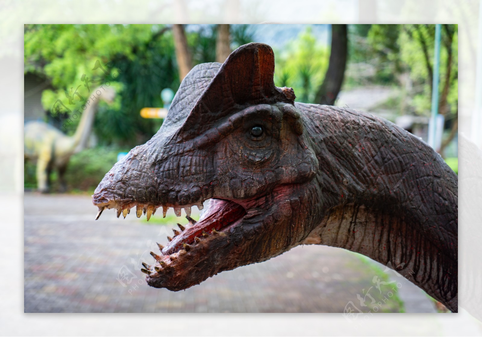 公园恐龙模型特写