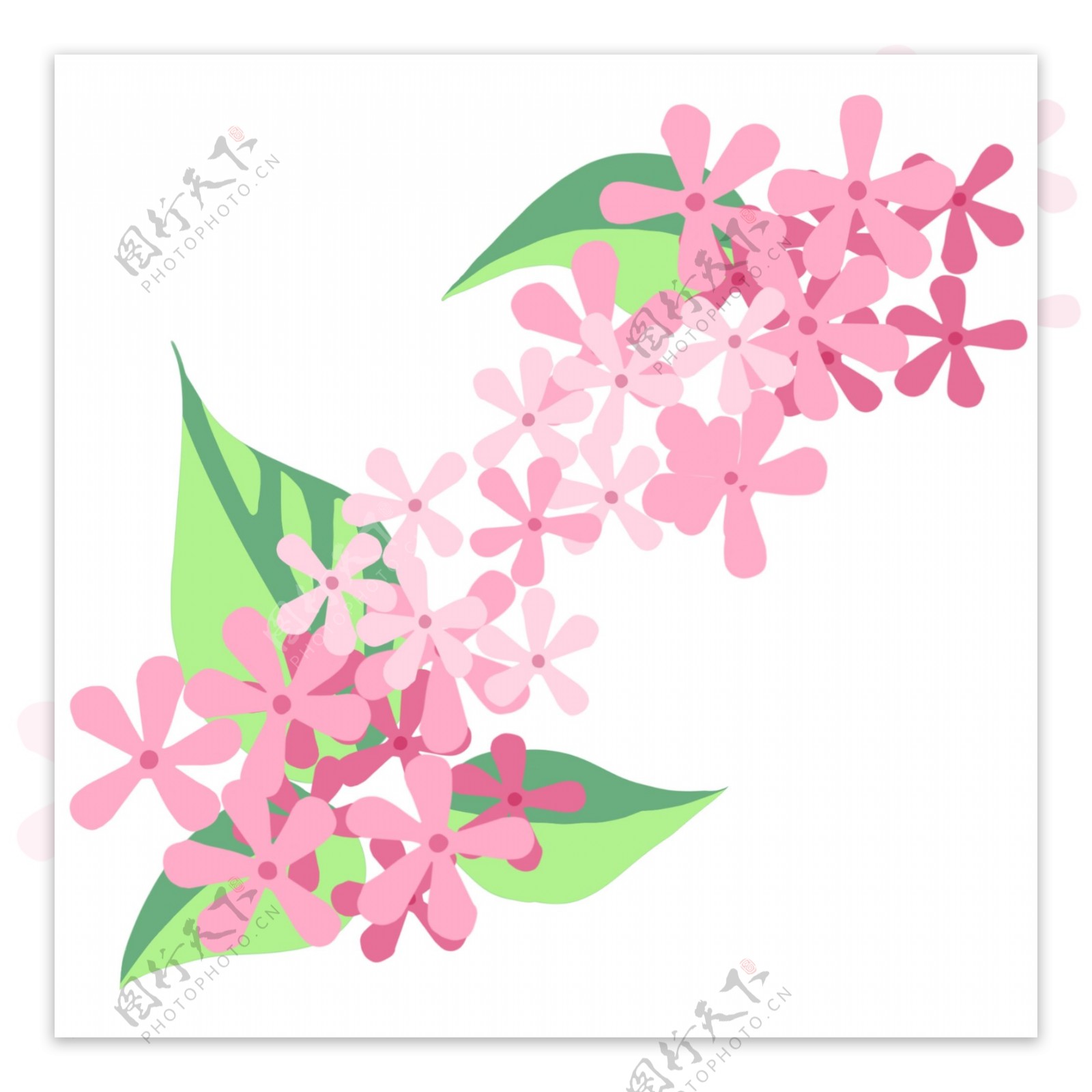 粉色樱花花朵插画