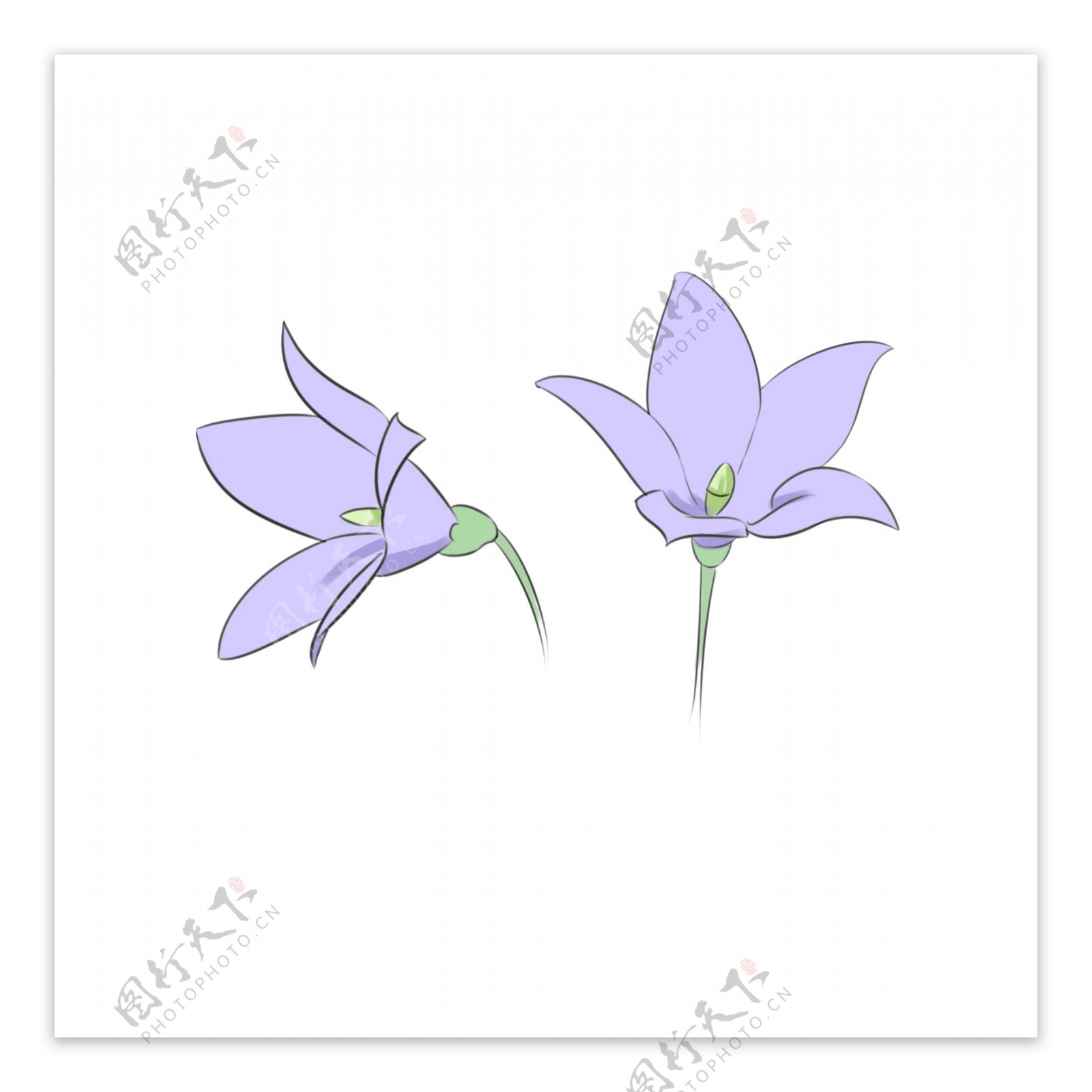 漂亮的蓝色花朵插画