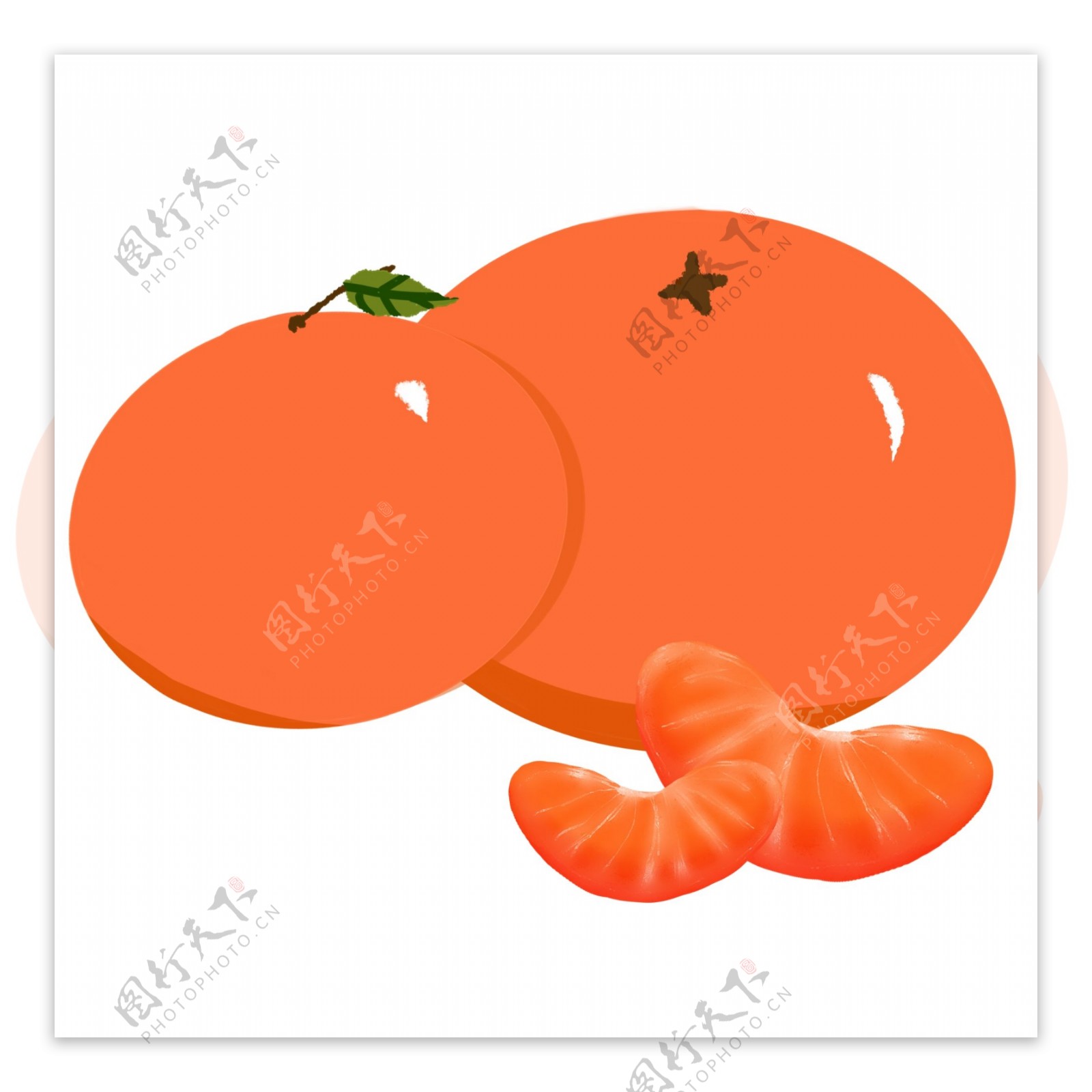 橙色橘子水果插图