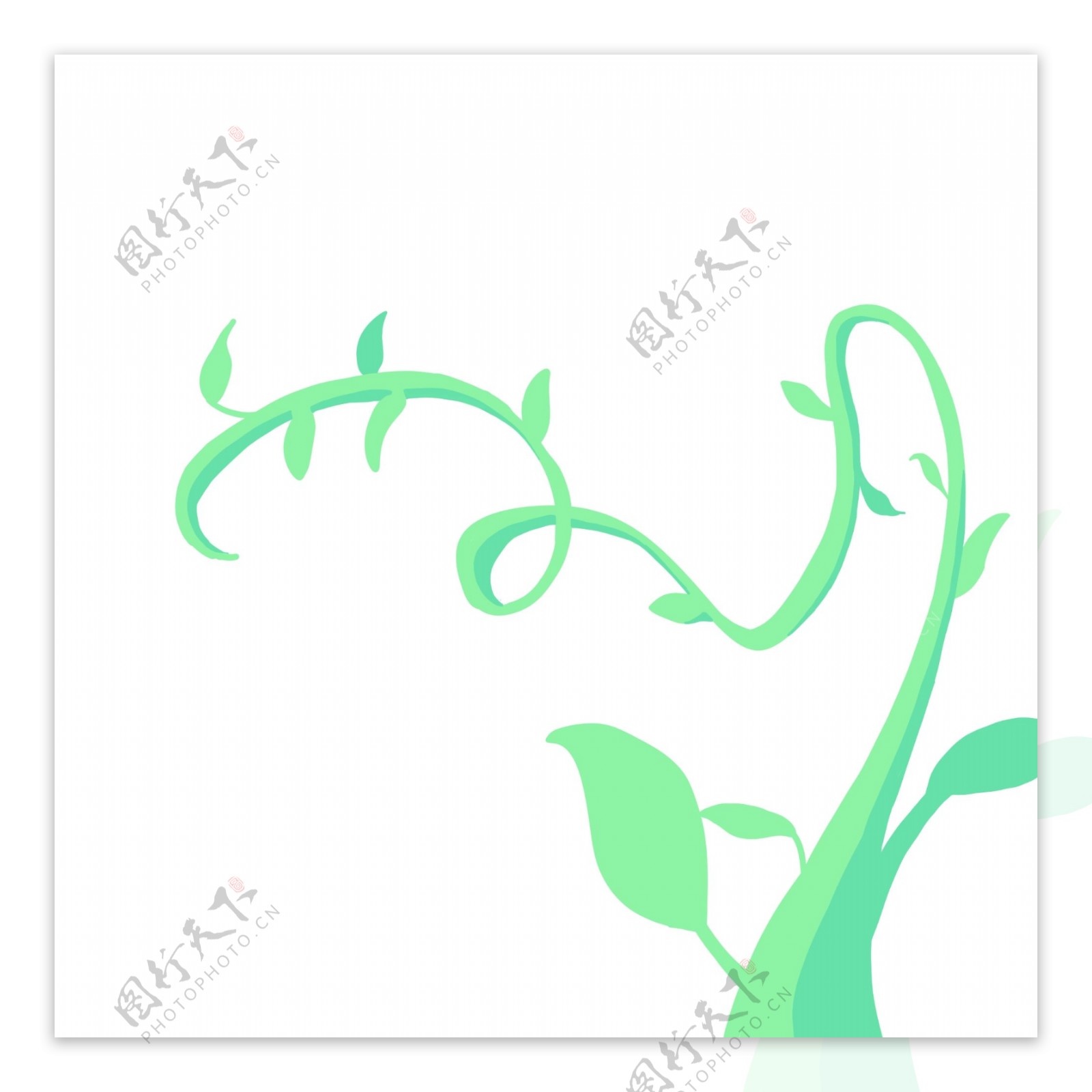 植物藤蔓枝蔓插画