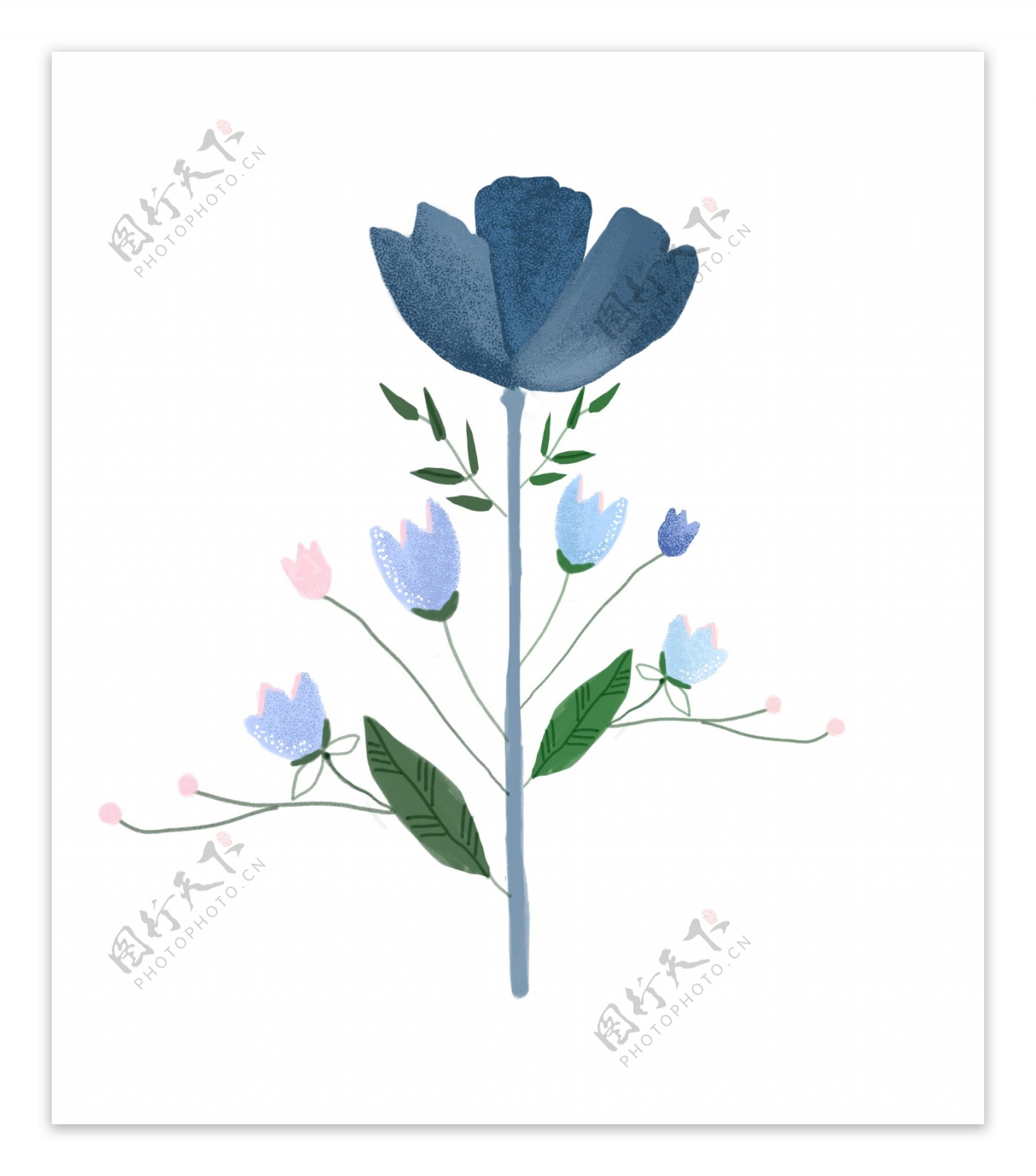 蓝色的花朵装饰插画