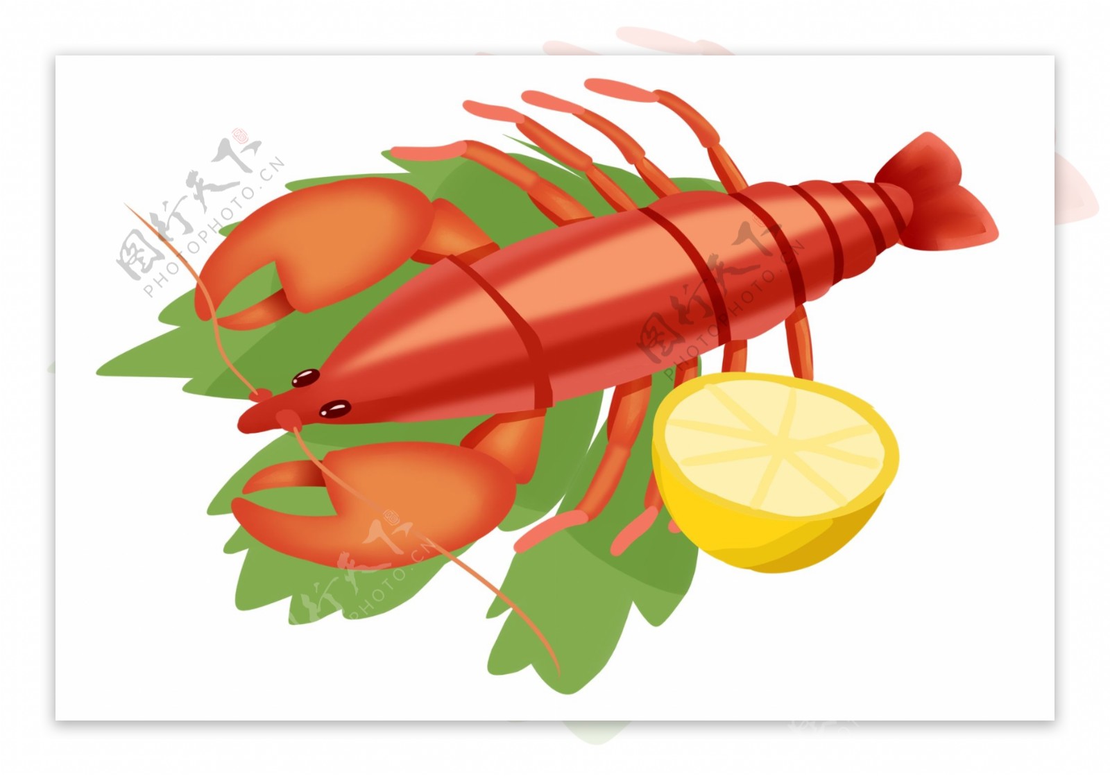 海鲜美食大龙虾插画