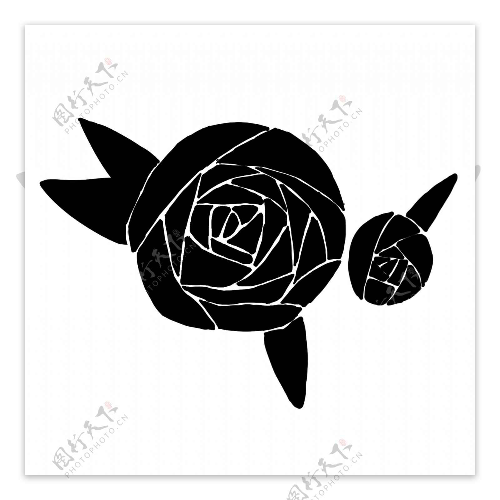 黑色玫瑰花花苞插图