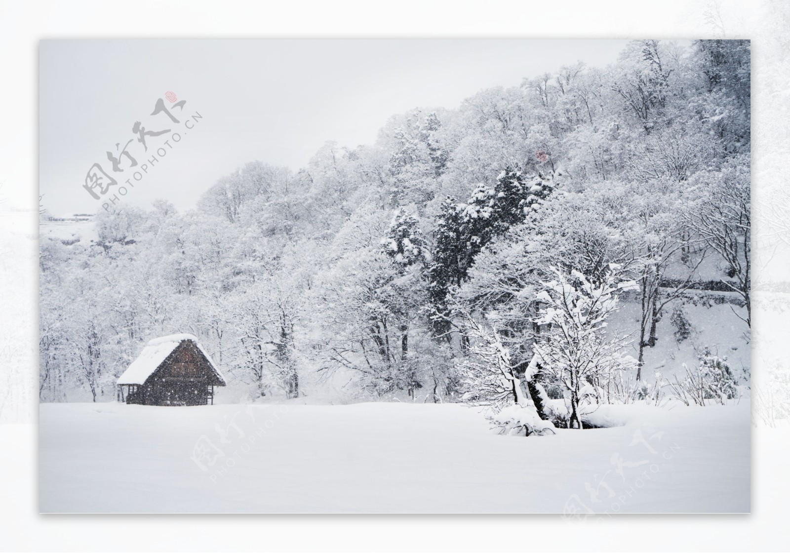 美丽的雪景