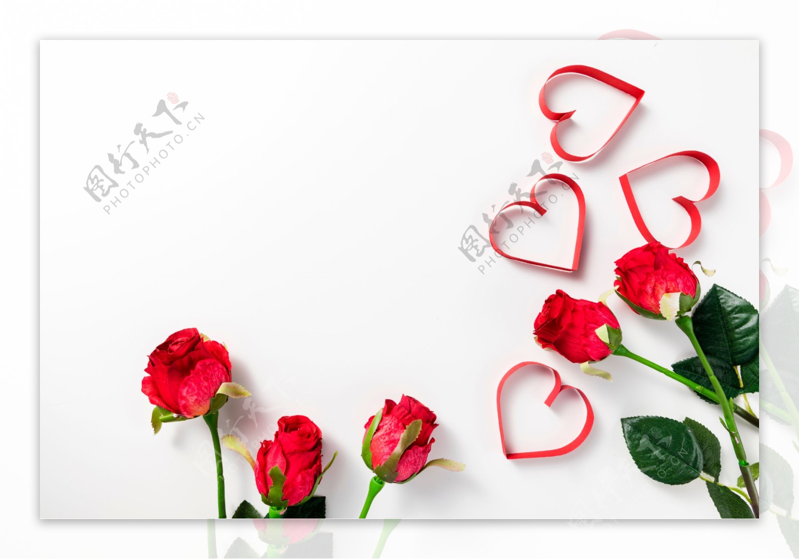 心形玫瑰花图片素材-编号27035744-图行天下