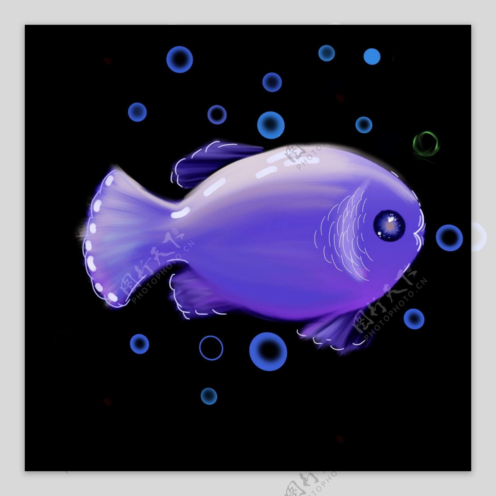 紫色海洋鱼类