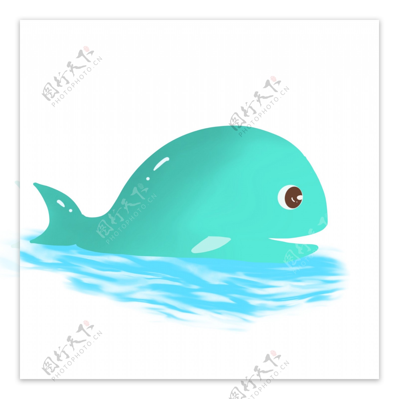 海底动物鲸鱼