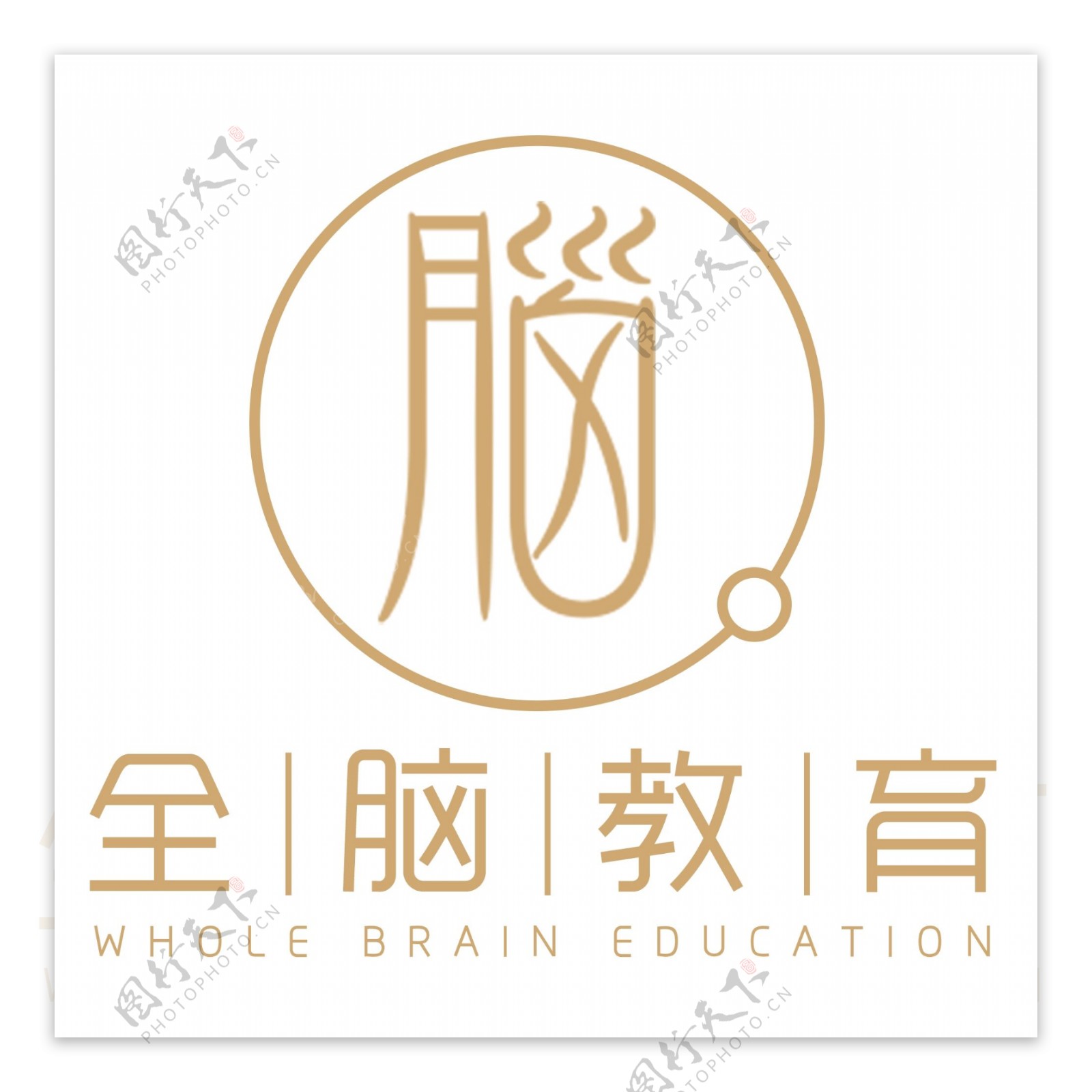 简约时尚全脑教育logo设计