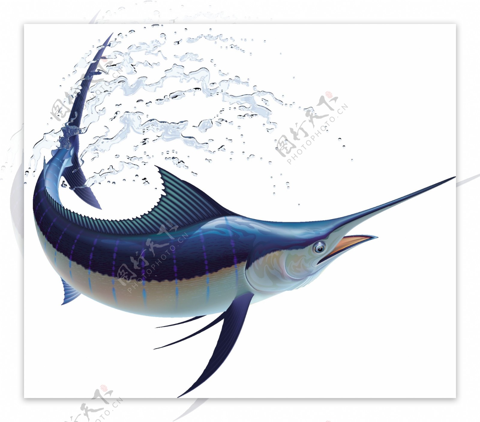 海底世界的鱼群剑鱼高清壁纸图片-壁纸高清