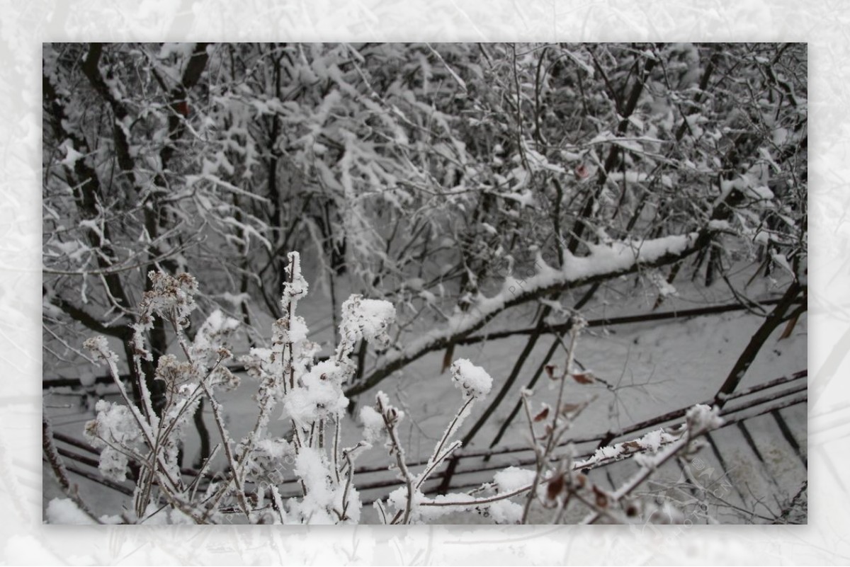 九皇山的雪