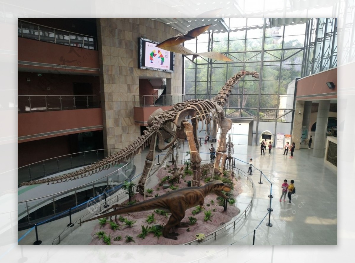 恐龙博物馆恐龙模型