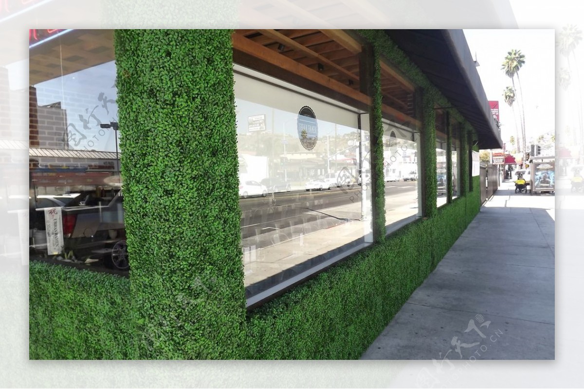 餐饮门店外墙绿化