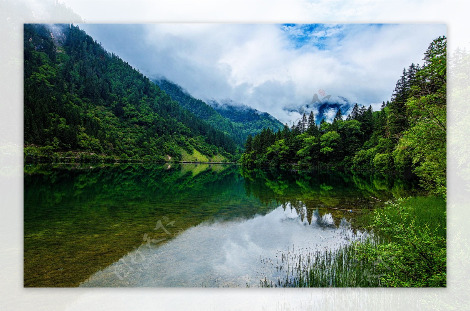 夏日唯美四川九寨沟