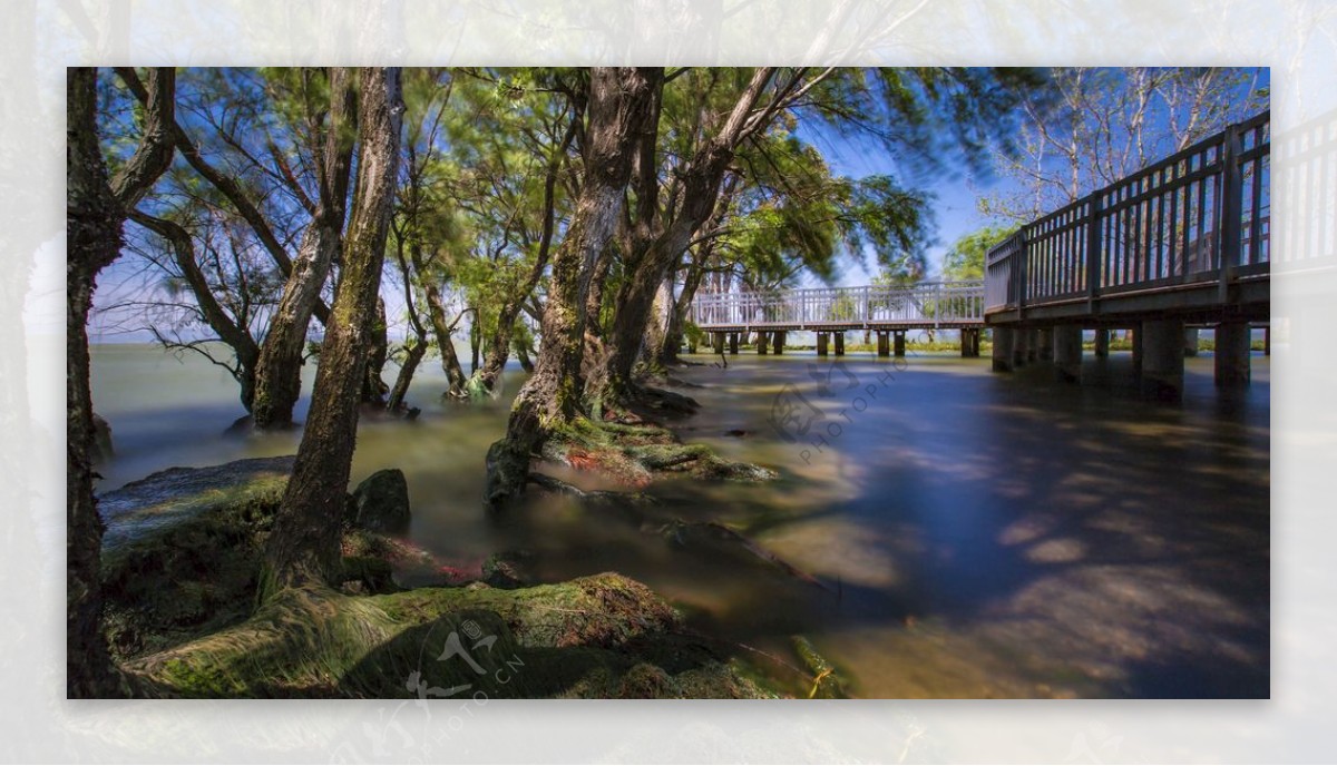 昆明捞鱼河湿地公园