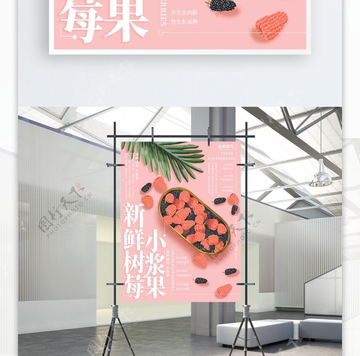 原创插画新鲜树莓水果海报