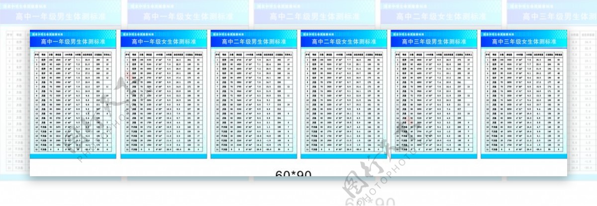 国家高中生体质健康标准表