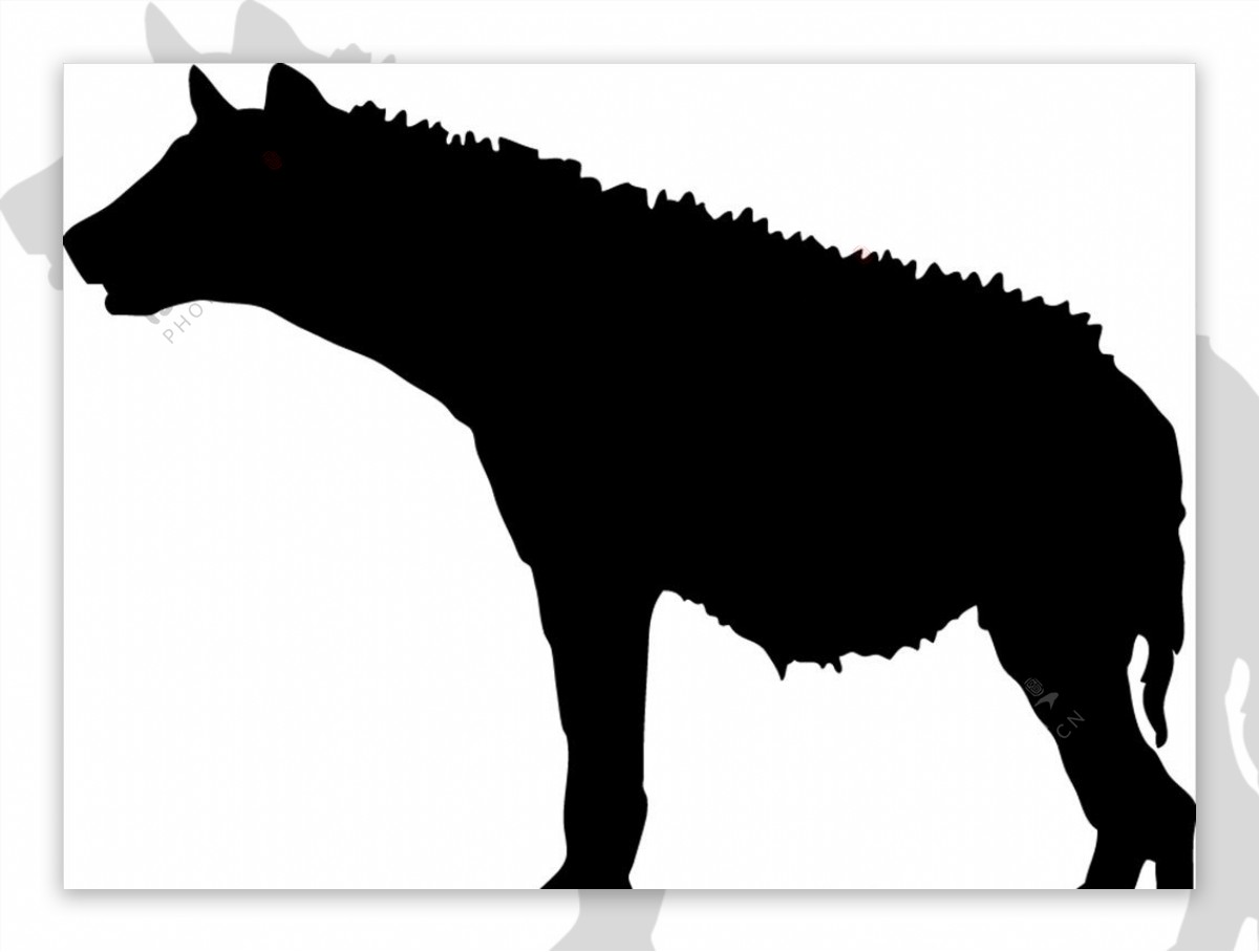 野生动物系列土狼狼矢量图