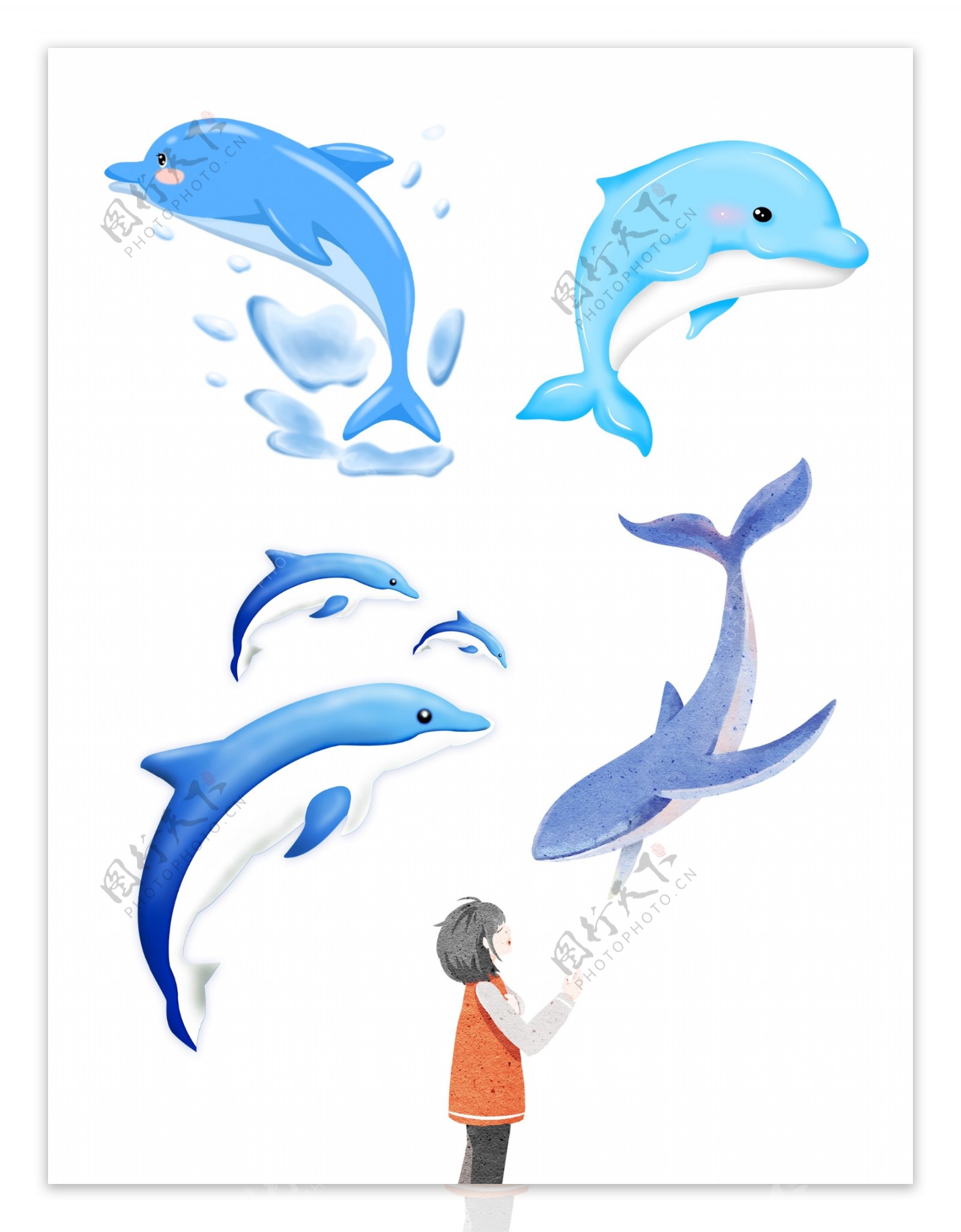 Premium Vector | Dolphin cartoon cute fish animals