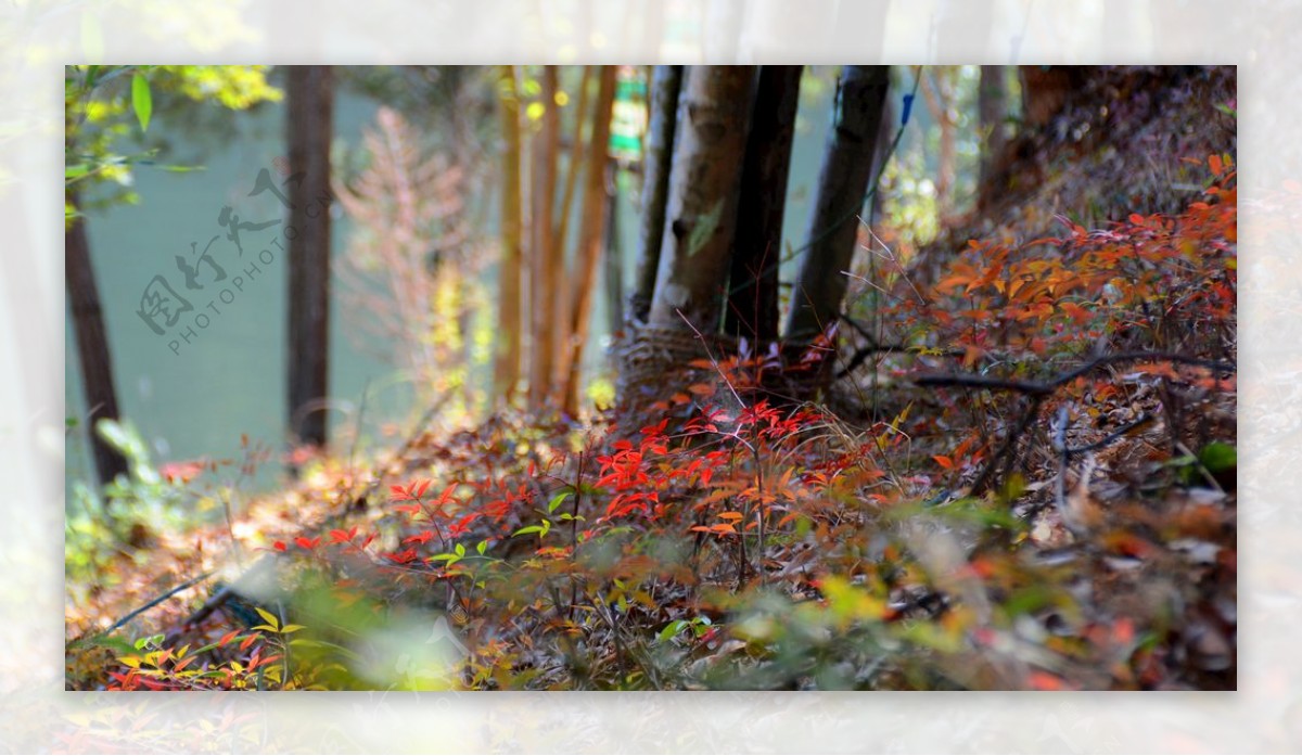 山水照片