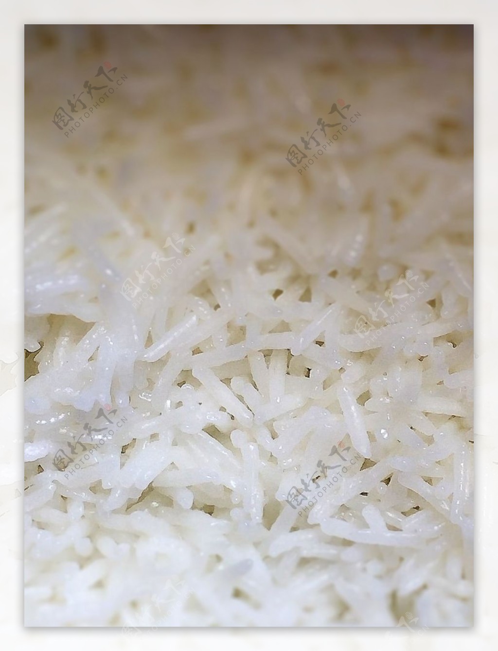 稻鳖米