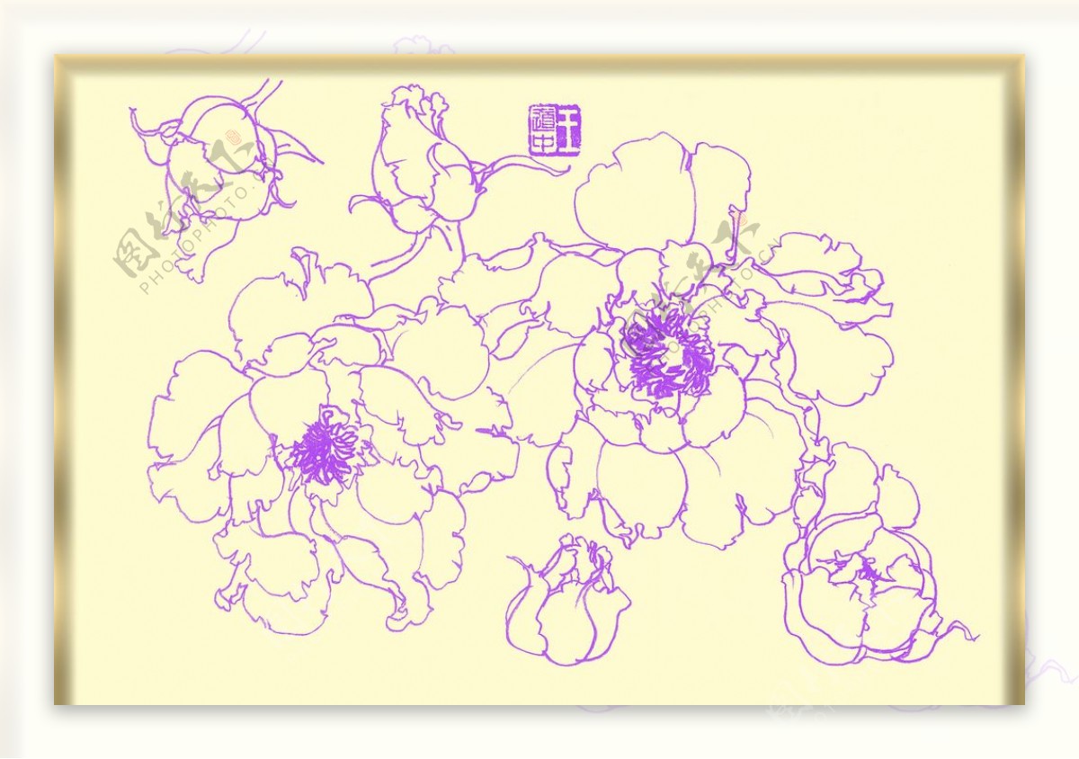 白描花卉