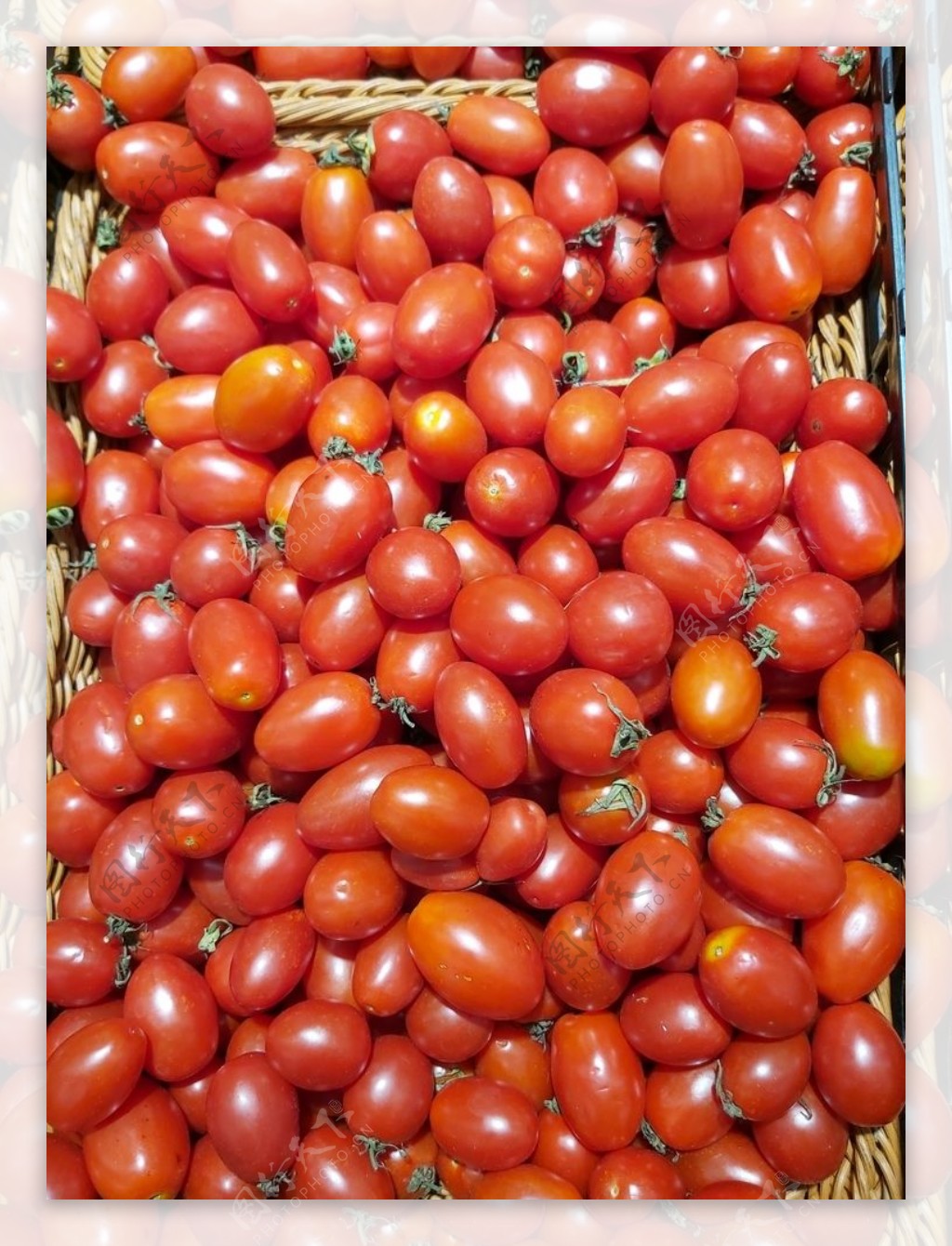 小西红柿圣女果西红柿番茄