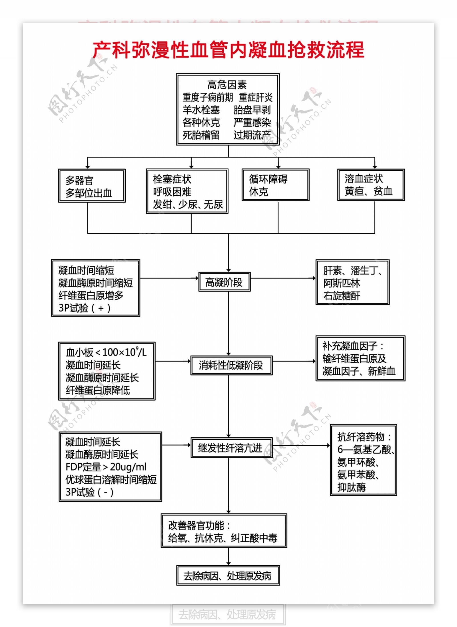 产科弥漫性血管内凝血抢救流程