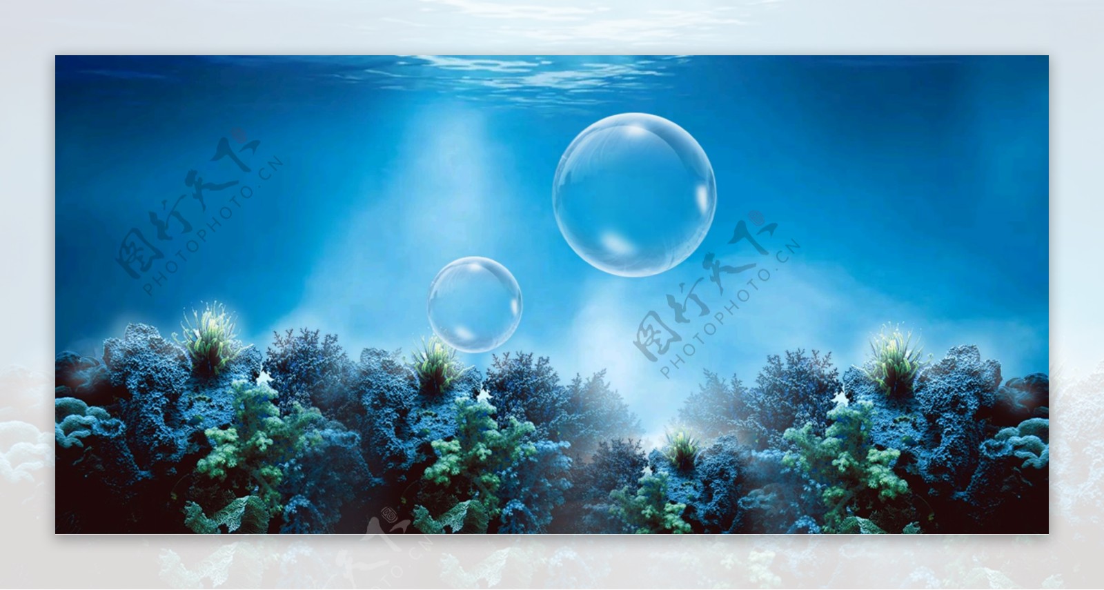海洋珊瑚水泡气泡圆形泡泡