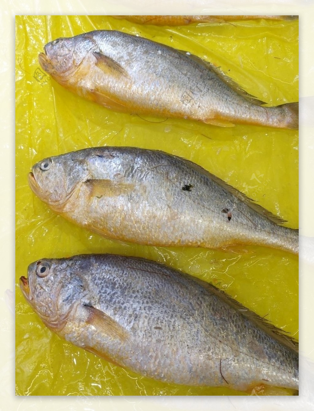 雪菜烧黄鱼的家常做法（两个小技巧轻松做雪菜烧黄鱼下饭超美味） – 碳资讯