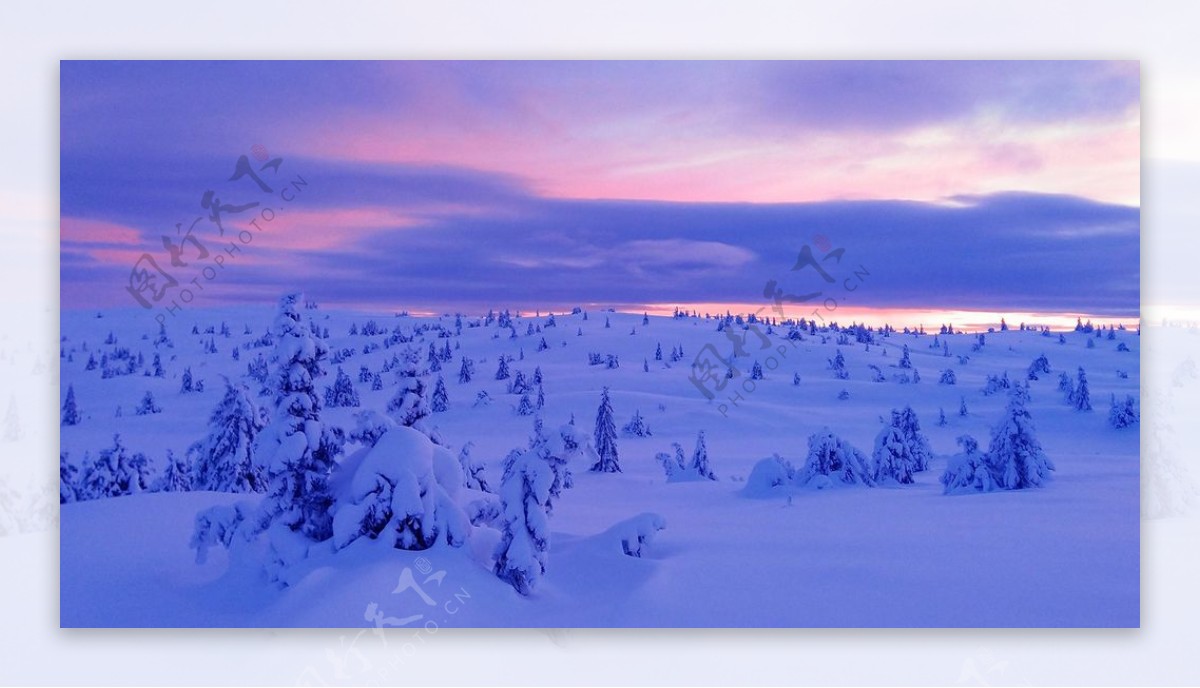 大雪森林天空云彩风景