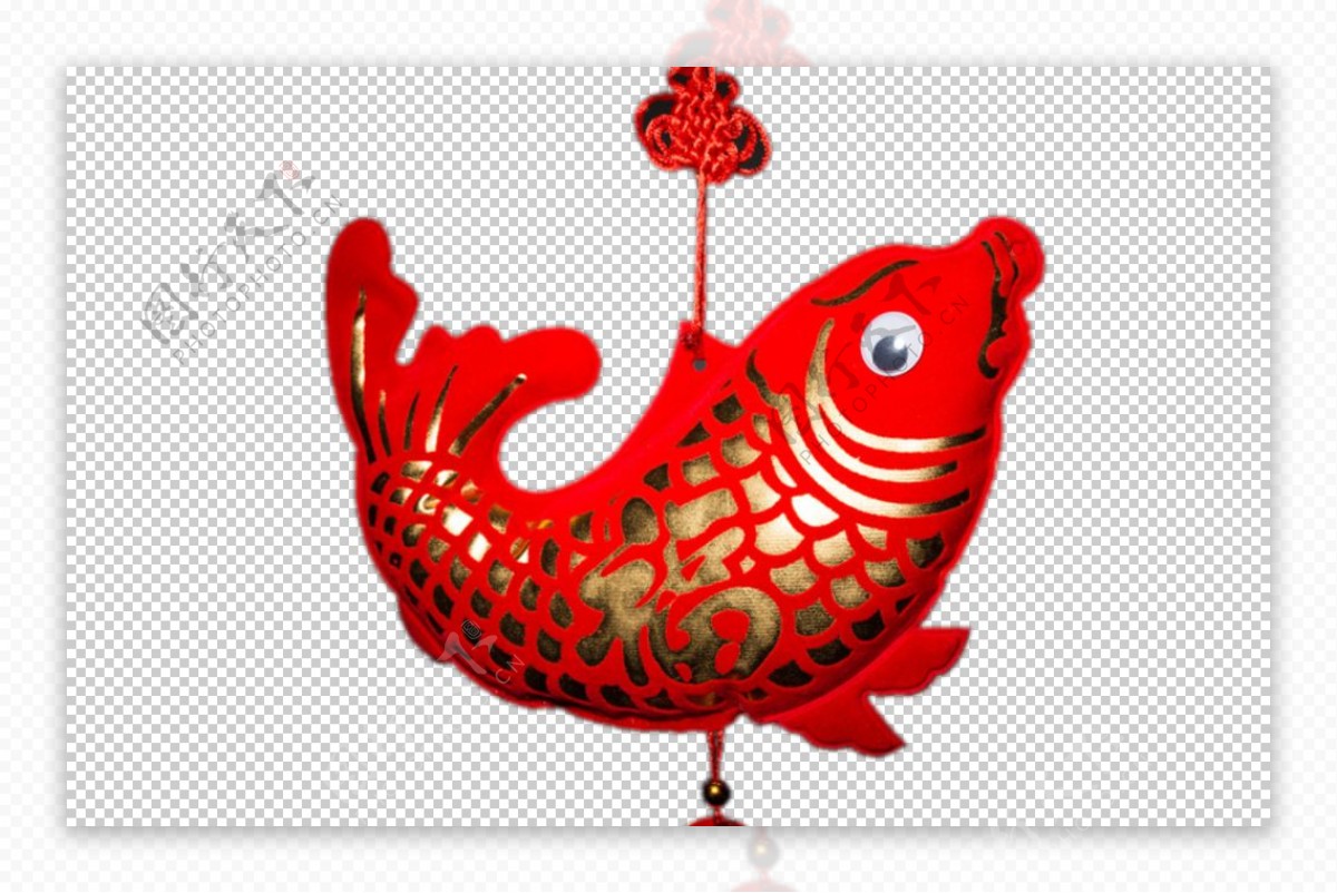 红的锦鲤