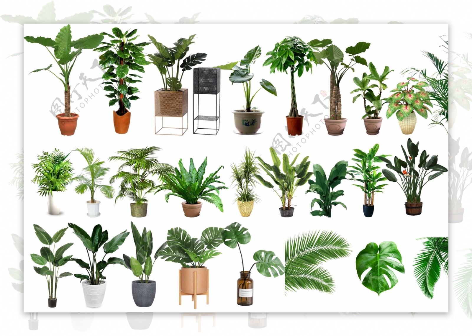 室内设计植物盆栽素材