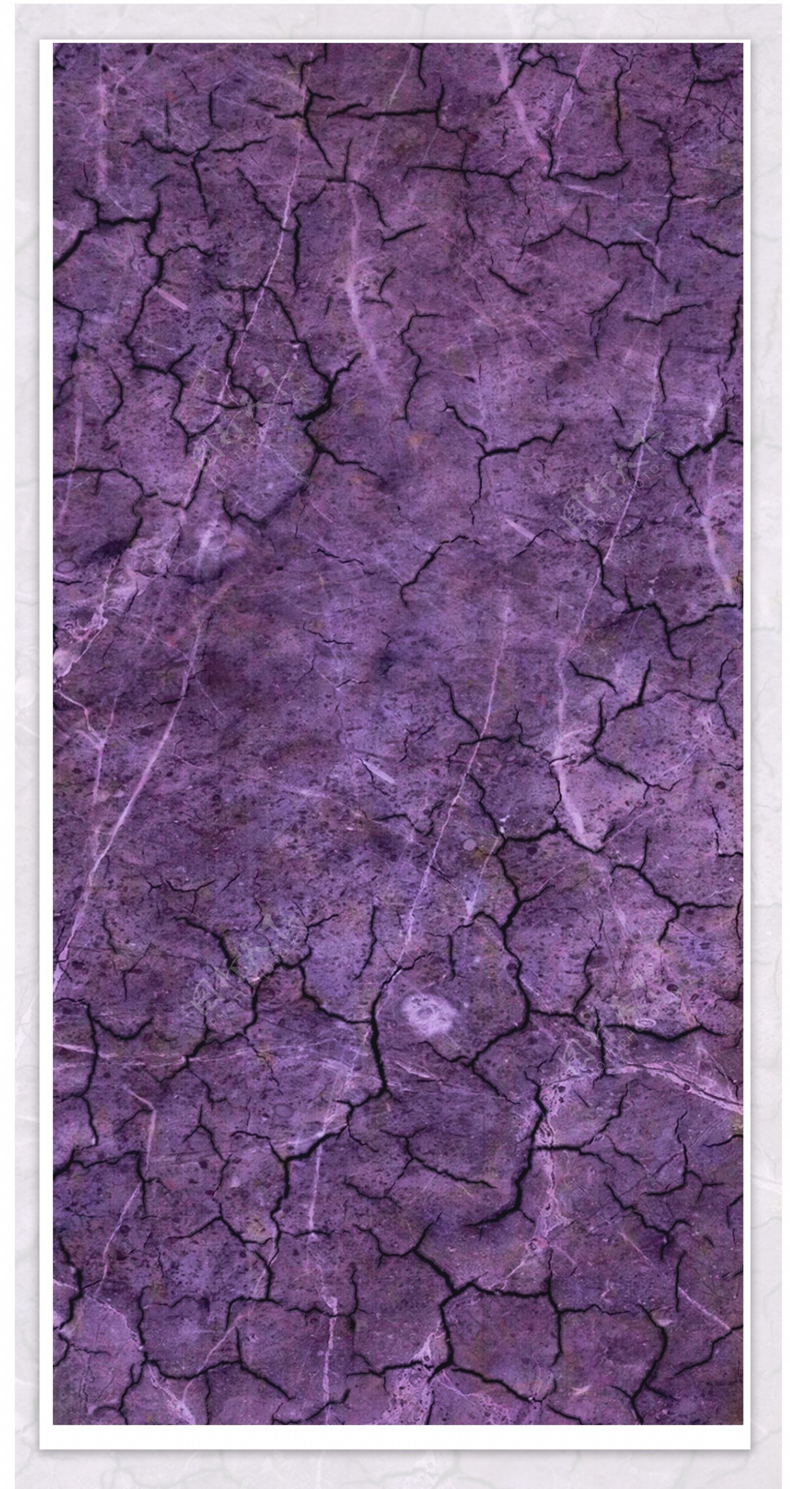 紫色地缝