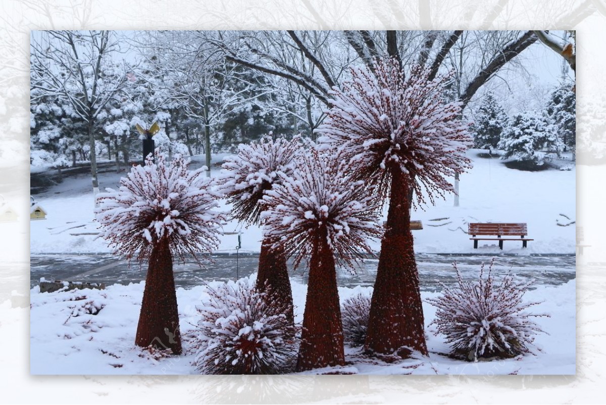 冬雪地景