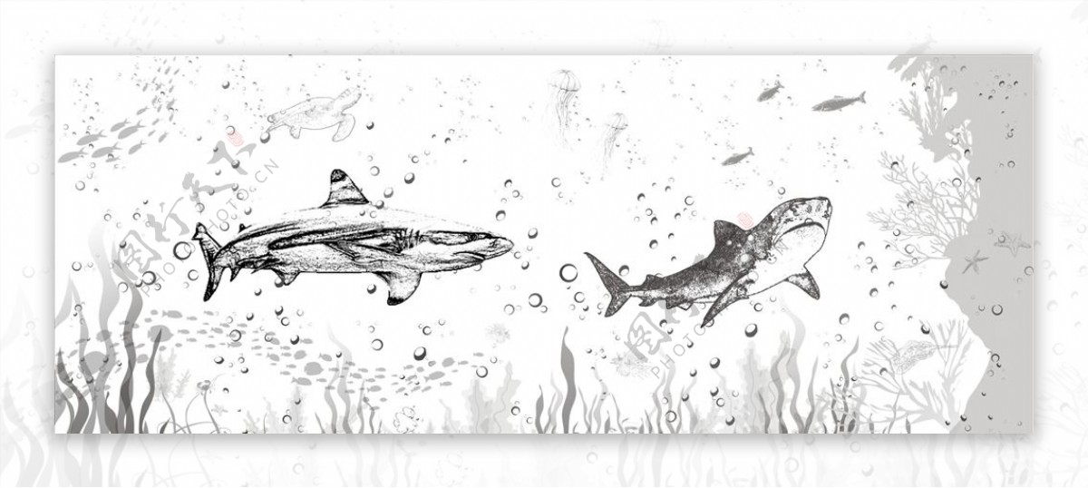 墙绘鲨鱼海洋
