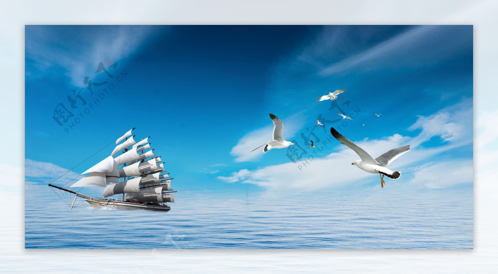 企业文化海鸥帆船