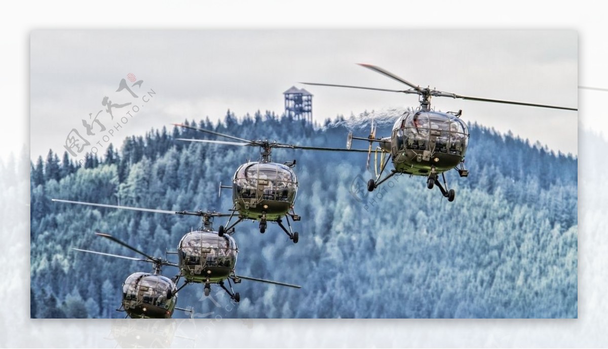 直升机飞机森林天空风景