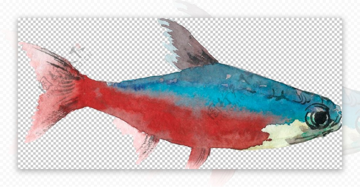 手绘水彩深海鱼