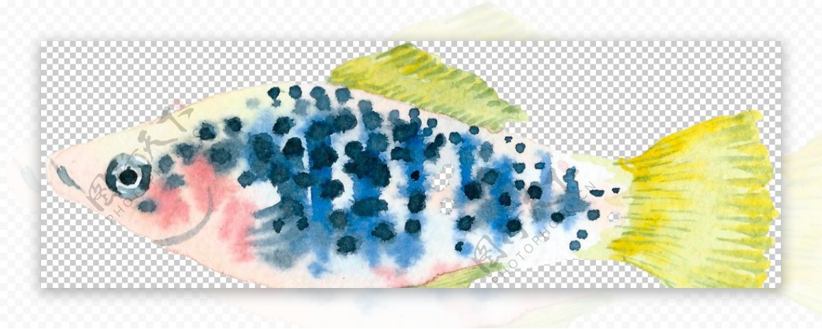 水彩手绘彩色深海鱼